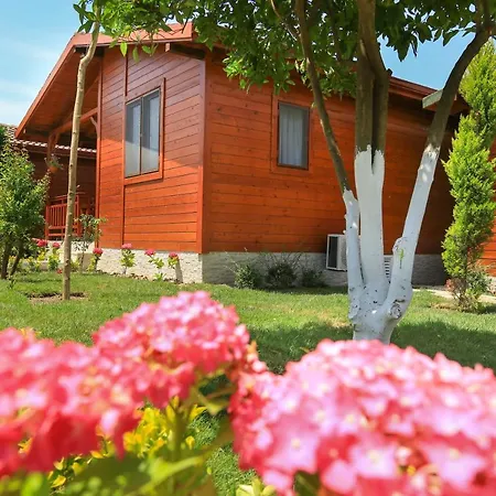 Merry & Tent Hotel Çıralı