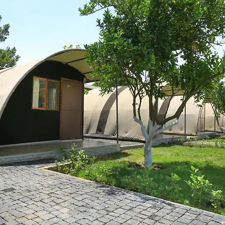 Hotel Merry & Tent Çıralı